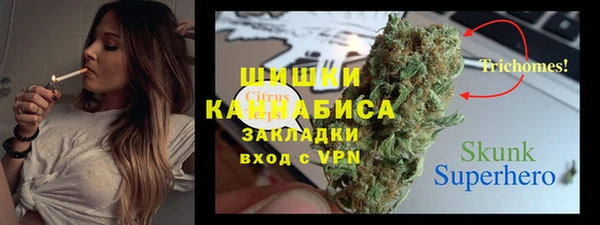 твердый Осташков