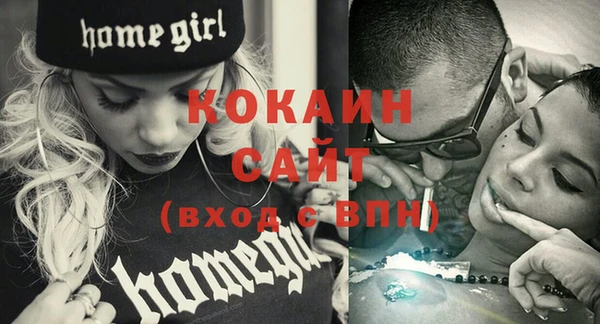 бошки Пересвет
