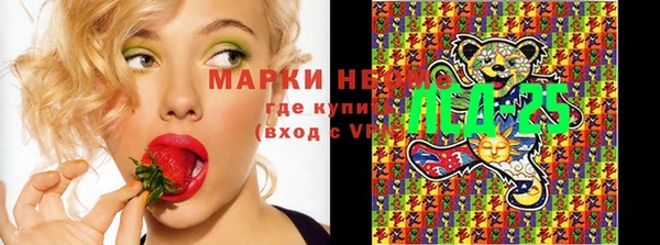 твердый Осташков