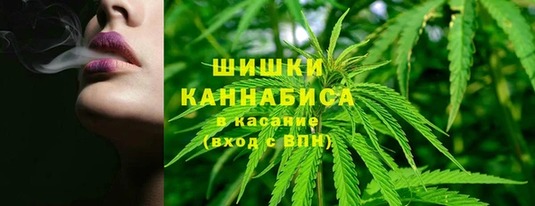твердый Осташков