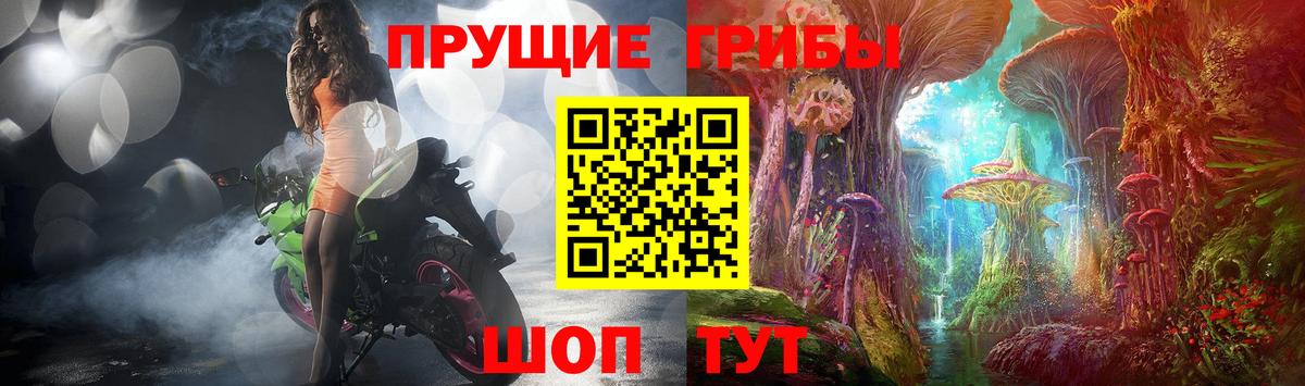 Галлюциногенные грибы Magic Shrooms  Вход с VPN  Сосновый Бор 