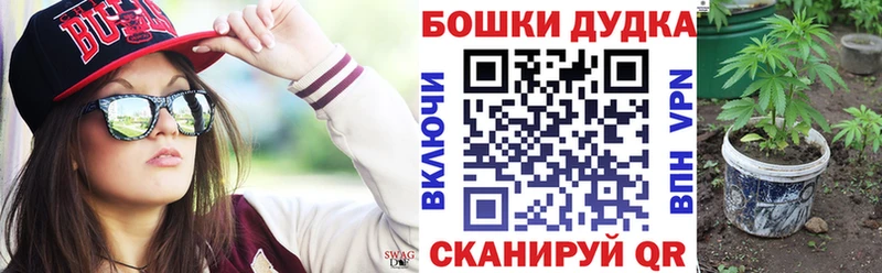 Конопля MAZAR  Сосновый Бор 